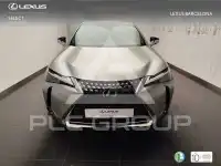 2023 Lexus UX