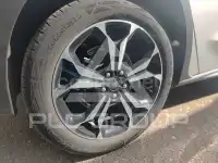 2023 Ford FOCUS