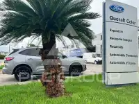 2023 Ford Kuga