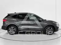 2023 Ford Kuga