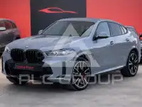 2024 BMW X6