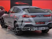 2024 BMW X6