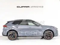 2024 Cupra Other