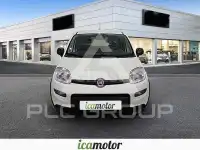 2024 Fiat Panda