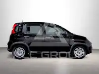 2024 Fiat Panda