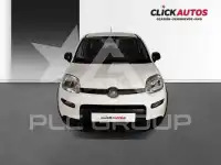 2024 Fiat Panda