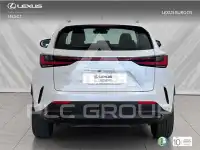 2024 Lexus NX