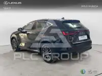 2024 Lexus NX