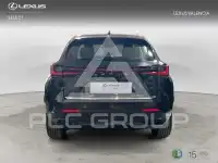 2024 Lexus NX