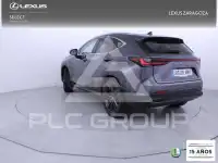 2024 Lexus NX
