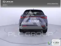 2024 Lexus NX