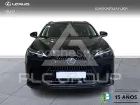 2024 Lexus NX