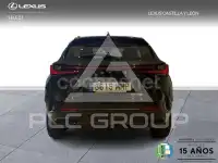 2024 Lexus NX