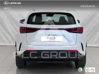 2024 Lexus NX