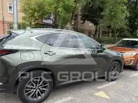 2024 Lexus NX