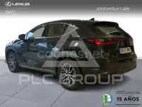 2024 Lexus NX