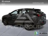 2024 Lexus NX