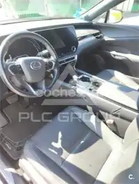 2024 Lexus RX
