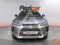 2024 Lexus UX