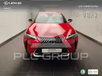 2024 Lexus UX