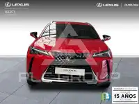 2024 Lexus UX