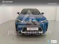 2024 Lexus UX