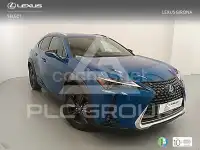 2024 Lexus UX