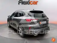 2024 Ford Kuga