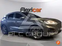 2024 Ford Kuga