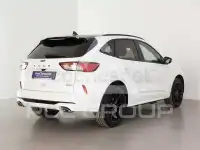 2024 Ford Kuga