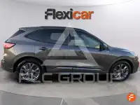 2024 Ford Kuga