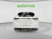 2025 DS Other