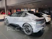 2025 DS Other