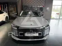 2025 DS Other