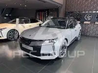 2025 DS Other