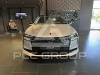 2025 DS Other