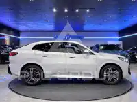 2025 BMW X2