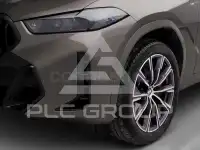 2025 BMW X6