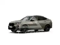 2025 BMW X6