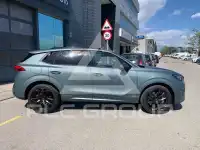 2025 Cupra Other