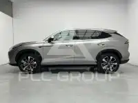 2025 MG 