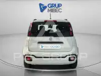 2025 Fiat Panda