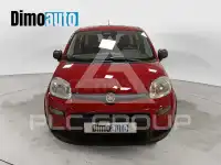 2025 Fiat Panda
