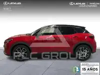 2025 Lexus LBX