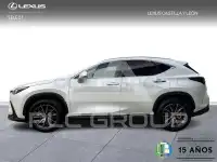 2025 Lexus NX