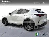 2025 Lexus NX