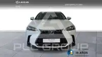 2025 Lexus NX