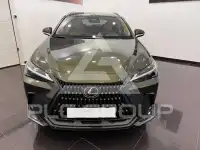 2025 Lexus NX