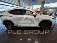 2025 Lexus NX