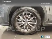 2025 Lexus NX